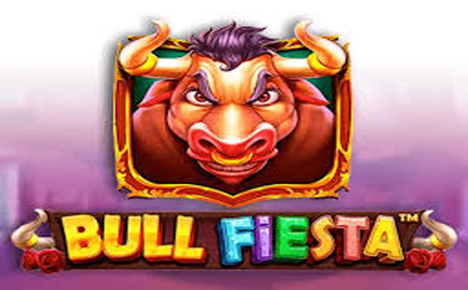 Bull Fiesta