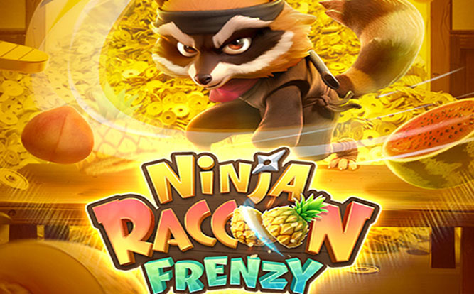 Ninja Raccoon Frenzy