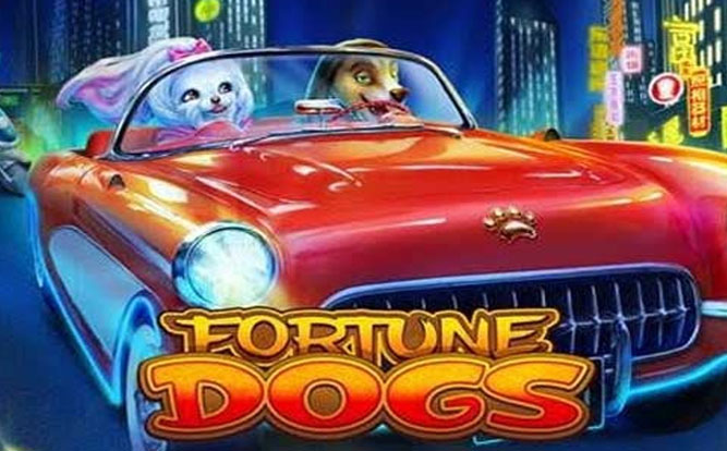 Fortune Dogs