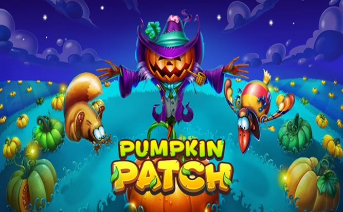 Pumpkin Patch